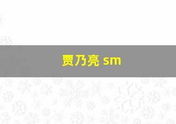 贾乃亮 sm